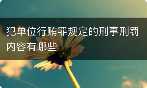 犯单位行贿罪规定的刑事刑罚内容有哪些