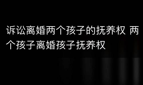 诉讼离婚两个孩子的抚养权 两个孩子离婚孩子抚养权