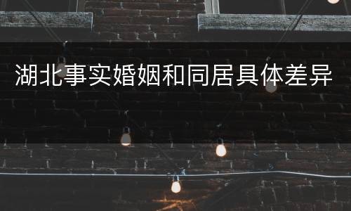 湖北事实婚姻和同居具体差异