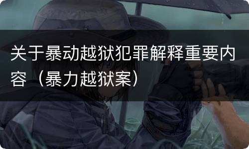 关于暴动越狱犯罪解释重要内容（暴力越狱案）