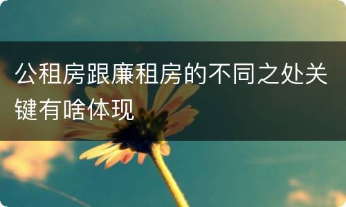 公租房跟廉租房的不同之处关键有啥体现