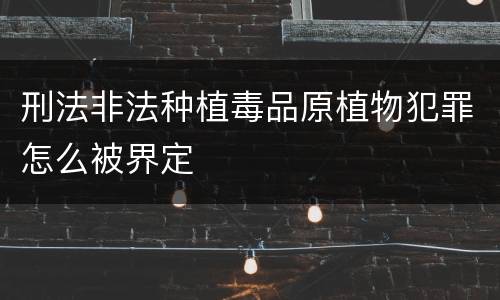 刑法非法种植毒品原植物犯罪怎么被界定