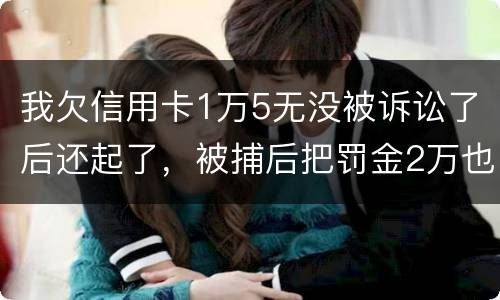 我欠信用卡1万5无没被诉讼了后还起了，被捕后把罚金2万也给了，什么时候放人呀