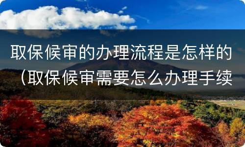 取保候审的办理流程是怎样的（取保候审需要怎么办理手续）
