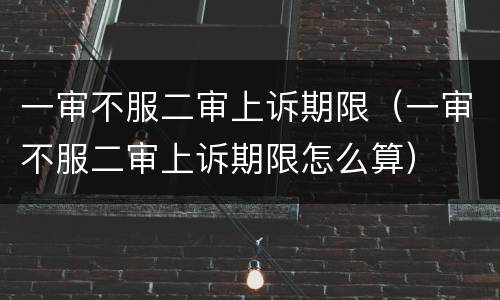 一审不服二审上诉期限（一审不服二审上诉期限怎么算）