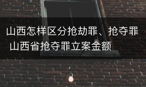 山西怎样区分抢劫罪、抢夺罪 山西省抢夺罪立案金额