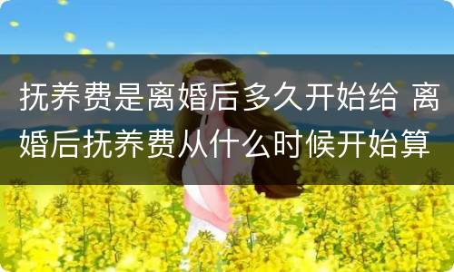 抚养费是离婚后多久开始给 离婚后抚养费从什么时候开始算