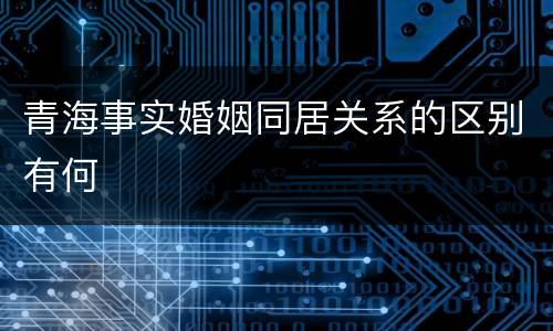 青海事实婚姻同居关系的区别有何