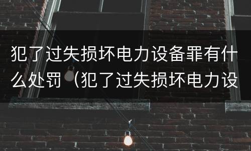 犯了过失损坏电力设备罪有什么处罚（犯了过失损坏电力设备罪有什么处罚规定）