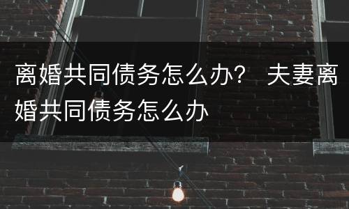 离婚共同债务怎么办？ 夫妻离婚共同债务怎么办