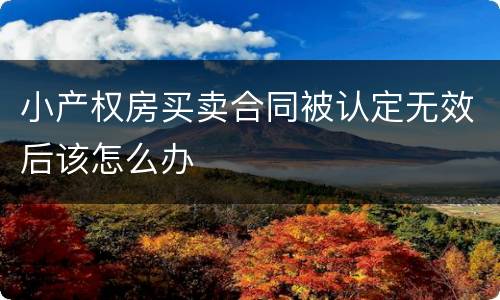 小产权房买卖合同被认定无效后该怎么办