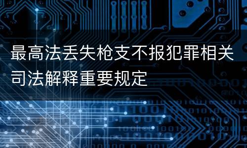 最高法丢失枪支不报犯罪相关司法解释重要规定
