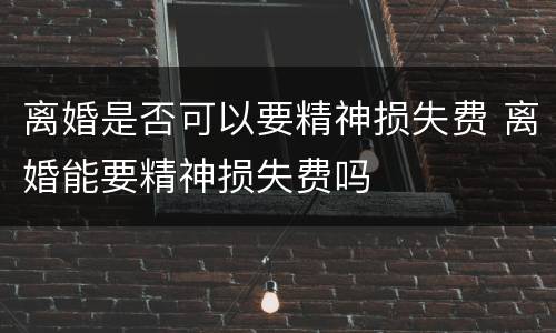 离婚是否可以要精神损失费 离婚能要精神损失费吗