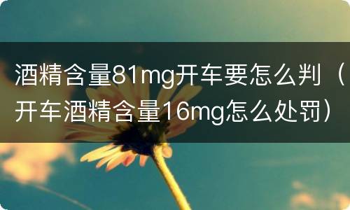 酒精含量81mg开车要怎么判（开车酒精含量16mg怎么处罚）