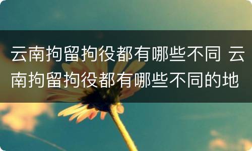 云南拘留拘役都有哪些不同 云南拘留拘役都有哪些不同的地方