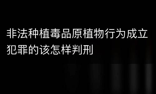 非法种植毒品原植物行为成立犯罪的该怎样判刑