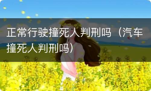 正常行驶撞死人判刑吗（汽车撞死人判刑吗）