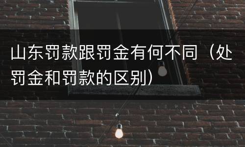 山东罚款跟罚金有何不同（处罚金和罚款的区别）