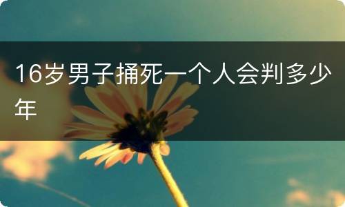 16岁男子捅死一个人会判多少年