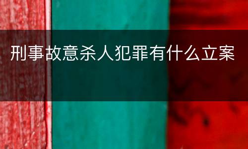 刑事故意杀人犯罪有什么立案
