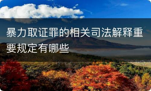 暴力取证罪的相关司法解释重要规定有哪些
