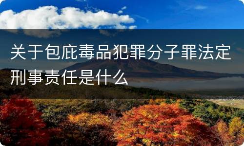 关于包庇毒品犯罪分子罪法定刑事责任是什么