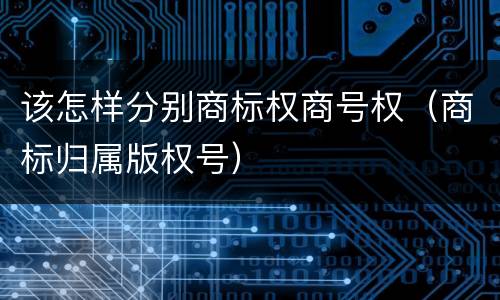 该怎样分别商标权商号权（商标归属版权号）