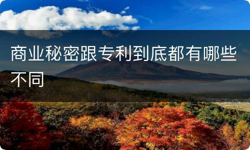商业秘密跟专利到底都有哪些不同