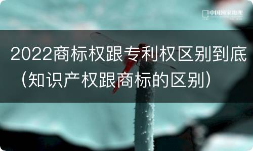 2022商标权跟专利权区别到底（知识产权跟商标的区别）