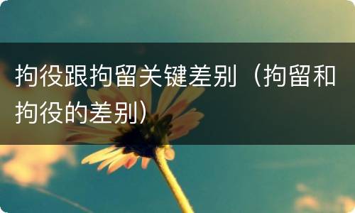 拘役跟拘留关键差别（拘留和拘役的差别）