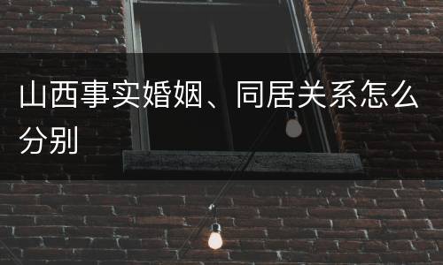 山西事实婚姻、同居关系怎么分别