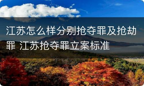 江苏怎么样分别抢夺罪及抢劫罪 江苏抢夺罪立案标准