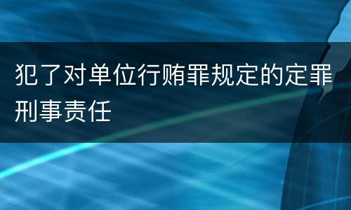 犯了对单位行贿罪规定的定罪刑事责任