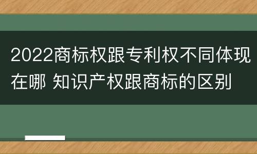 2022商标权跟专利权不同体现在哪 知识产权跟商标的区别