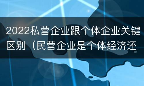 2022私营企业跟个体企业关键区别（民营企业是个体经济还是私营经济）