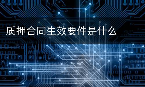 质押合同生效要件是什么