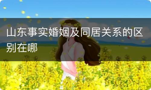 山东事实婚姻及同居关系的区别在哪