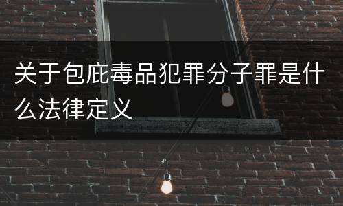 关于包庇毒品犯罪分子罪是什么法律定义