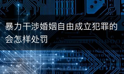 暴力干涉婚姻自由成立犯罪的会怎样处罚