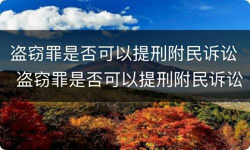 盗窃罪是否可以提刑附民诉讼 盗窃罪是否可以提刑附民诉讼请求