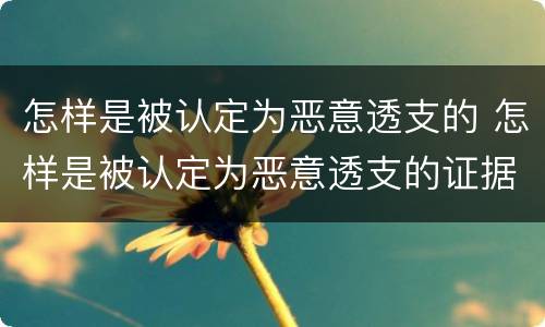 怎样是被认定为恶意透支的 怎样是被认定为恶意透支的证据