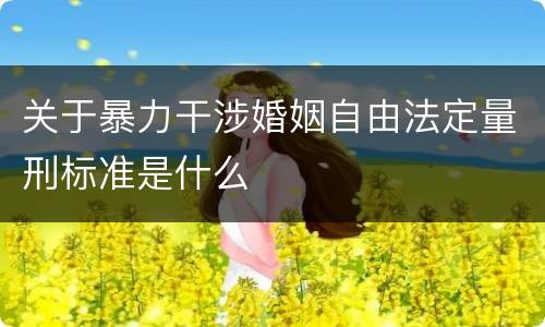 关于暴力干涉婚姻自由法定量刑标准是什么
