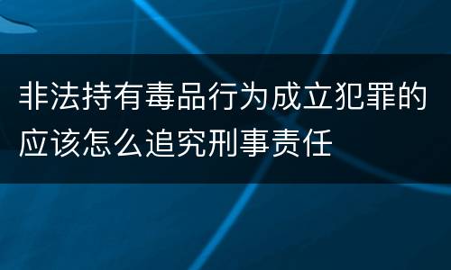 非法持有毒品行为成立犯罪的应该怎么追究刑事责任