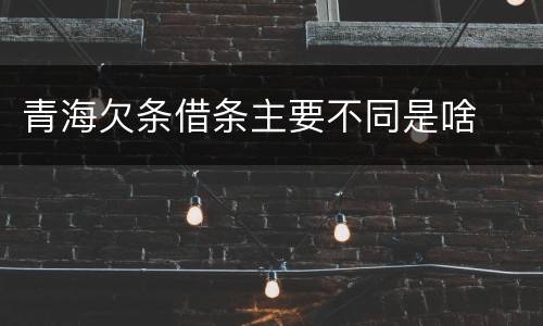青海欠条借条主要不同是啥