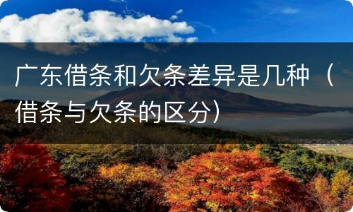 广东借条和欠条差异是几种（借条与欠条的区分）