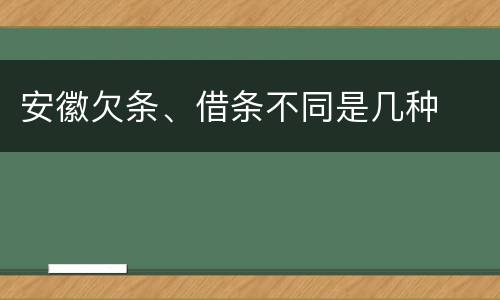 安徽欠条、借条不同是几种