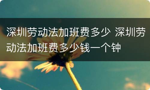深圳劳动法加班费多少 深圳劳动法加班费多少钱一个钟