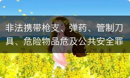 非法携带枪支、弹药、管制刀具、危险物品危及公共安全罪立案标准是什么
