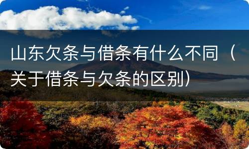 山东欠条与借条有什么不同（关于借条与欠条的区别）