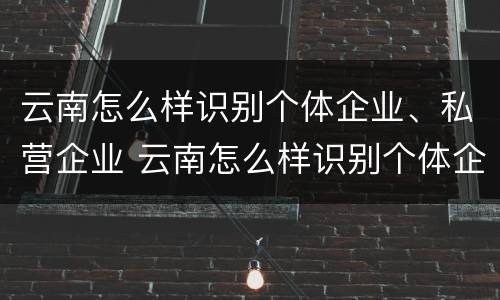 云南怎么样识别个体企业、私营企业 云南怎么样识别个体企业,私营企业呢